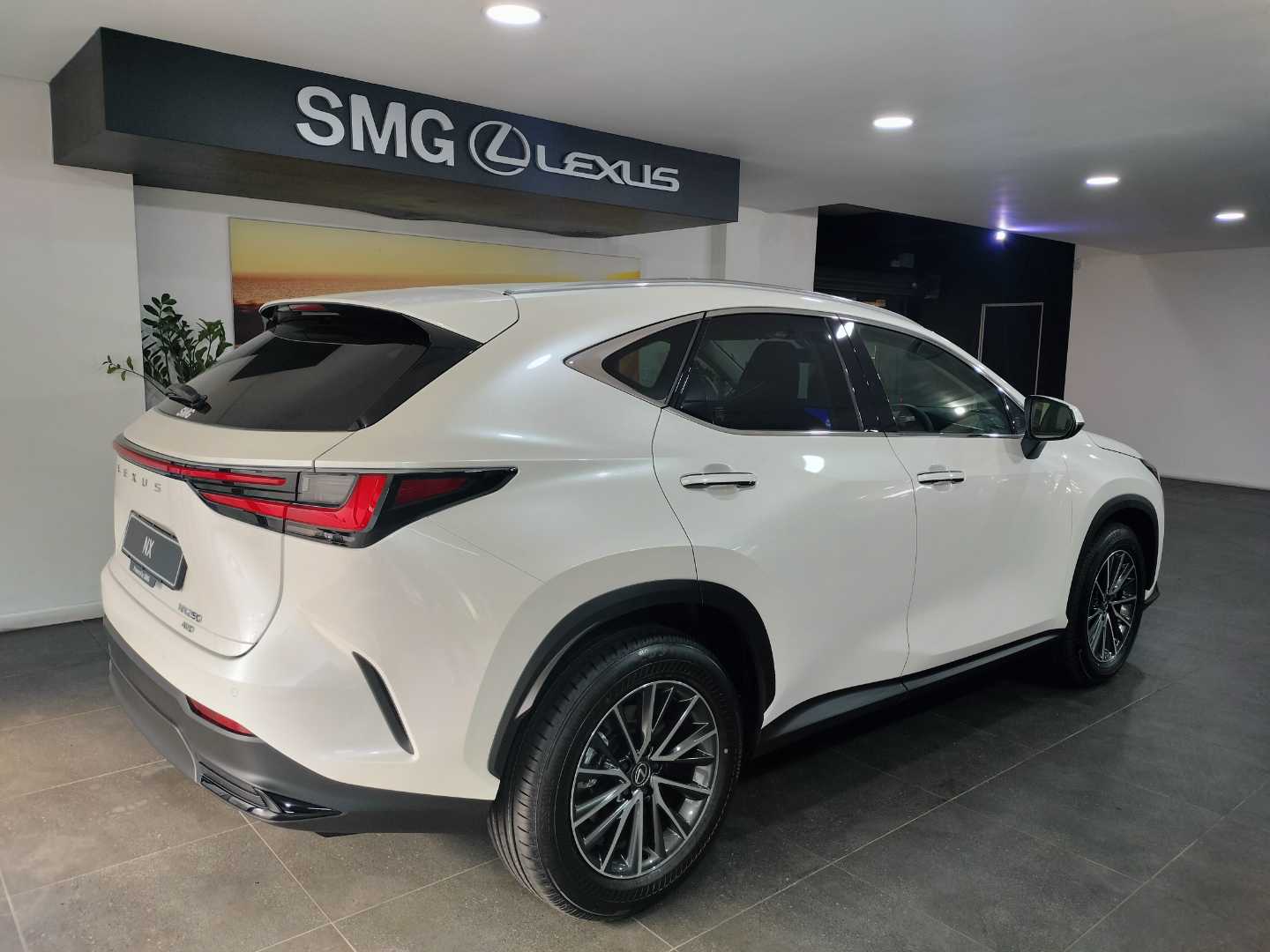 LEXUS NX 250 EX, image 2