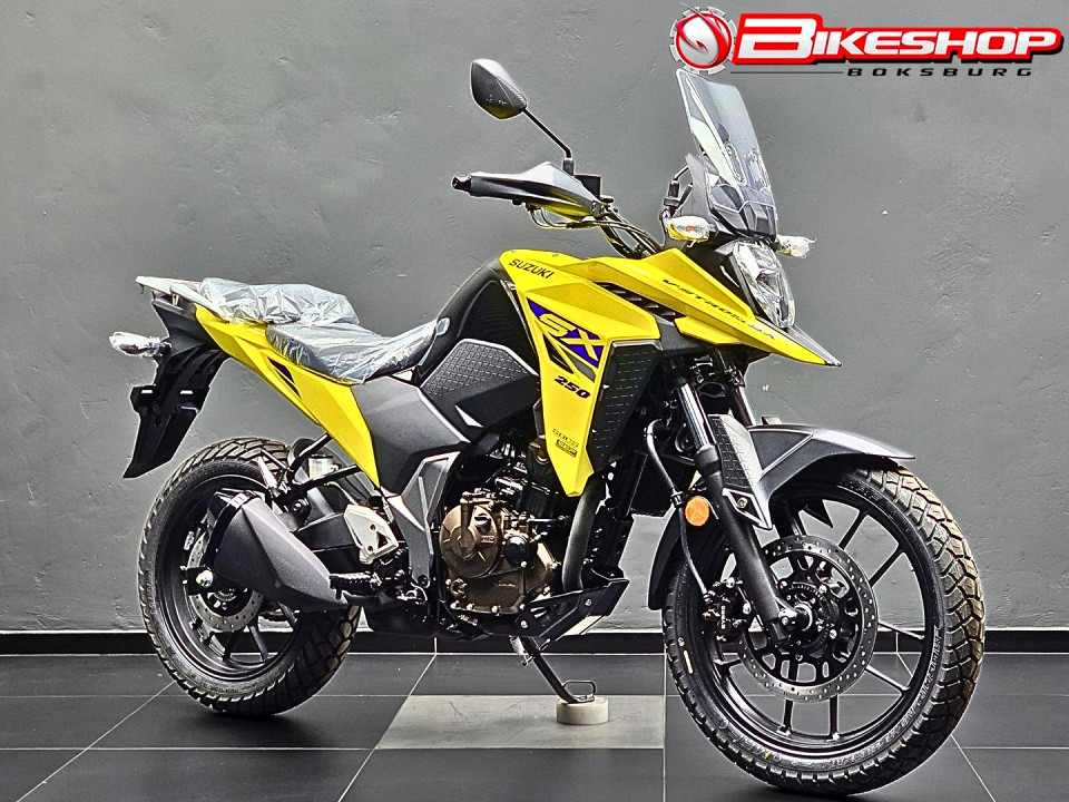 SUZUKI DS250 SX, image 1