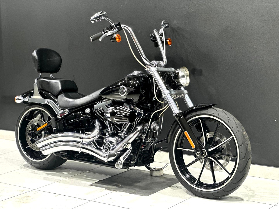 HARLEY-DAVIDSON 103ci, image 1