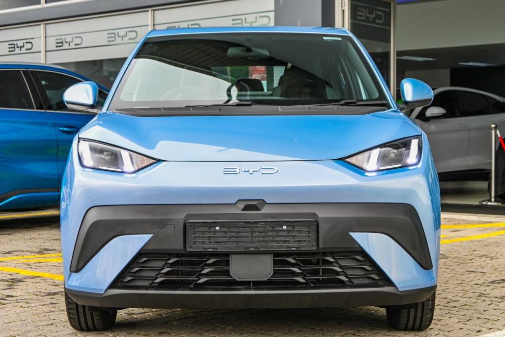 BYD Dolphin Surf Comfort, image 2