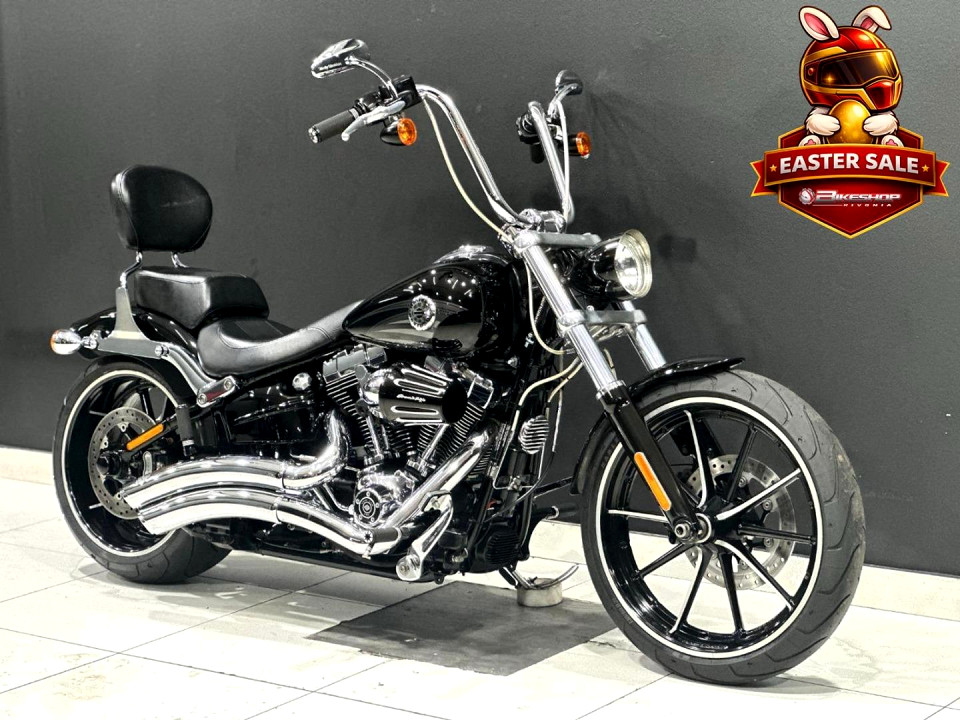 HARLEY-DAVIDSON 103ci, image 1