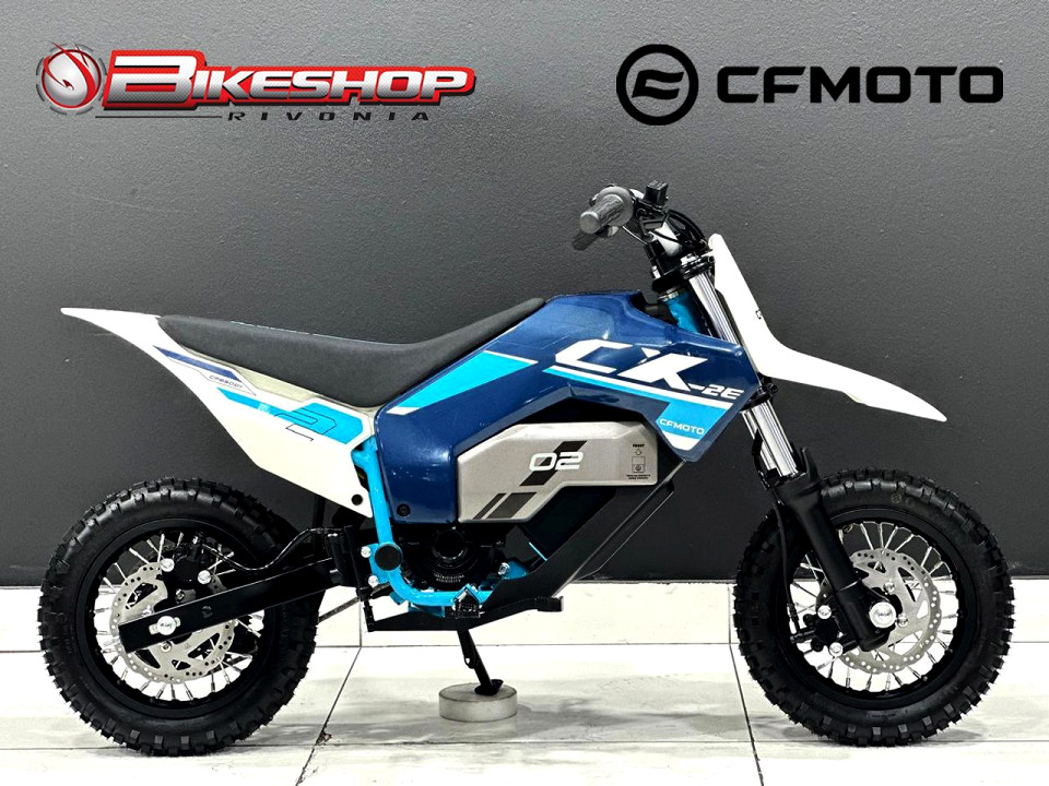 CFMOTO ELECTRIC, image 2