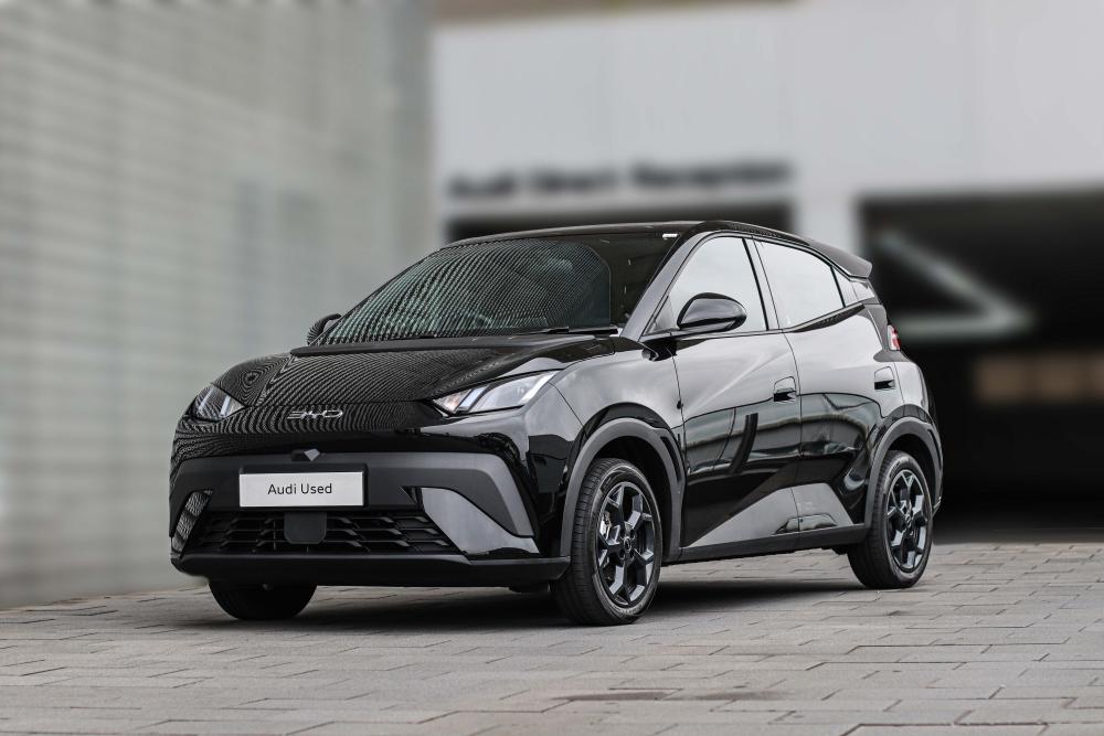 BYD Dolphin Surf Dynamic, image 2