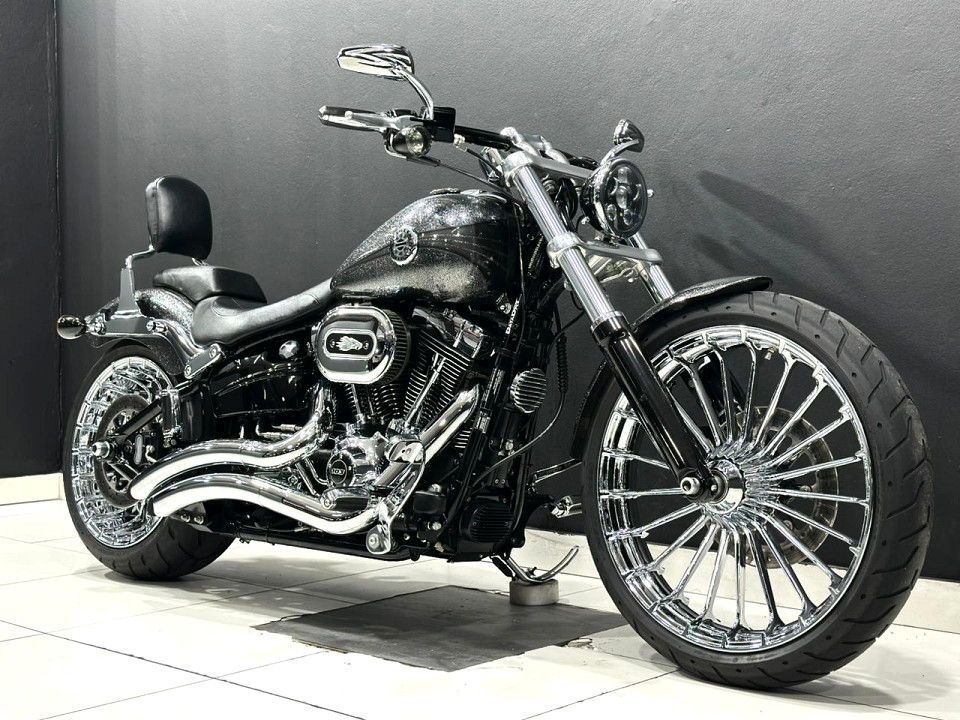 HARLEY-DAVIDSON 103ci, image 1