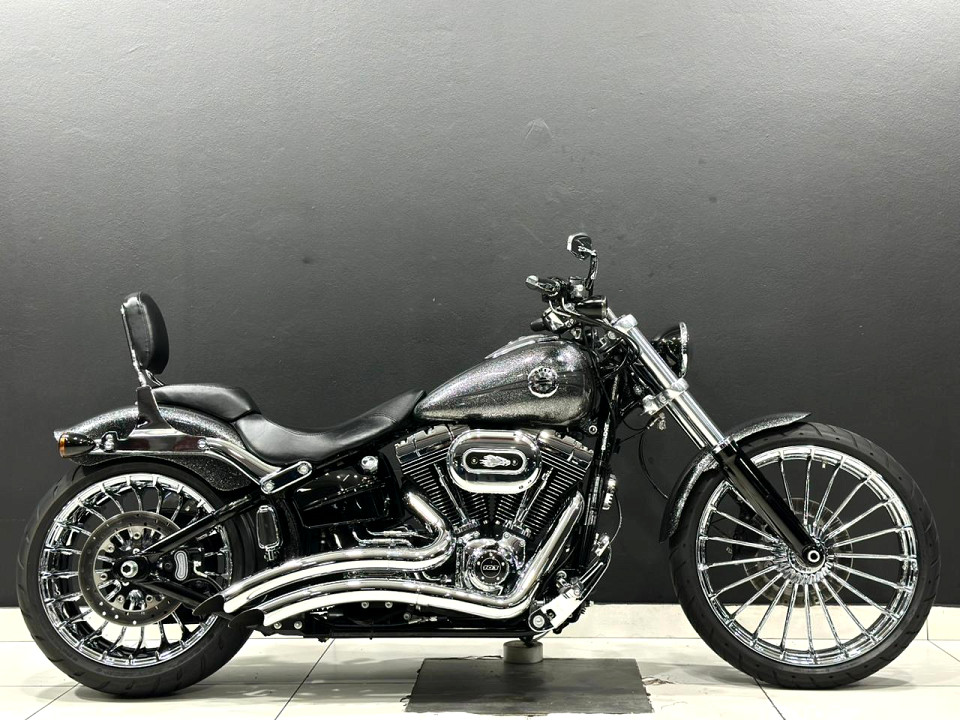 HARLEY-DAVIDSON 103ci, image 2