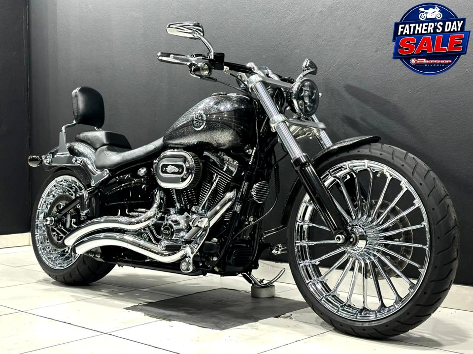 HARLEY-DAVIDSON 103ci, image 1