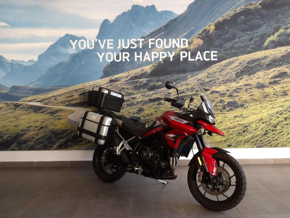 Triumph Tiger 900 GT Pro, image 2