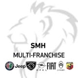 SMH Multi-Franchise logo